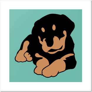 Rottweiler Pup Posters and Art